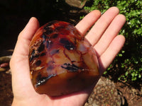 Polished Carnelian Agate Standing Free Forms  x 3 From Madagascar - Toprock Gemstones and Minerals 