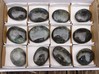 Polished Flashy Labradorite Palm Stones  x 12 From Tulear, Madagascar - TopRock