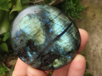 Polished Flashy Labradorite Palm Stones  x 12 From Tulear, Madagascar - TopRock