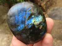 Polished Flashy Labradorite Palm Stones  x 12 From Tulear, Madagascar - TopRock