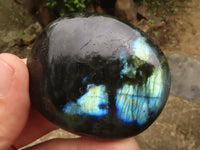 Polished Flashy Labradorite Palm Stones  x 12 From Tulear, Madagascar - TopRock