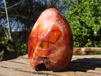 Polished Carnelian Agate Standing Free Forms  x 3 From Madagascar - Toprock Gemstones and Minerals 