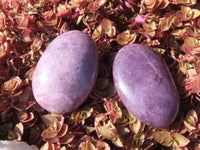 Polished Highly Selected Lepidolite (Lithium Mica) Gallets or Palm Stones - sold per Kg - From Madagascar - TopRock