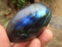 Polished Flashy Labradorite Palm Stones  x 12 From Tulear, Madagascar - TopRock