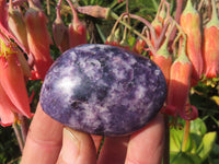 Polished Highly Selected Lepidolite (Lithium Mica) Gallets or Palm Stones - sold per Kg - From Madagascar - TopRock