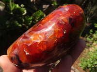 Polished Carnelian Agate Standing Free Forms  x 3 From Madagascar - Toprock Gemstones and Minerals 