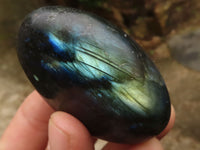 Polished Flashy Labradorite Palm Stones  x 12 From Tulear, Madagascar - TopRock