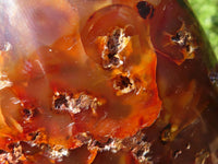 Polished Carnelian Agate Standing Free Forms  x 3 From Madagascar - Toprock Gemstones and Minerals 