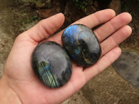 Polished Flashy Labradorite Palm Stones  x 12 From Tulear, Madagascar - TopRock