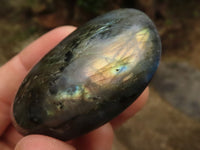 Polished Flashy Labradorite Palm Stones  x 12 From Tulear, Madagascar - TopRock