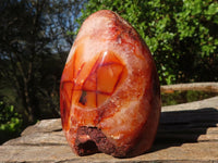 Polished Carnelian Agate Standing Free Forms  x 3 From Madagascar - Toprock Gemstones and Minerals 