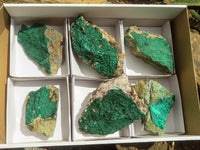 Natural Micro Botryoidal Crystalline Malachite Specimens  x 6 From Tenke Fungurume, Congo - TopRock