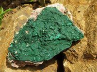 Natural Micro Botryoidal Crystalline Malachite Specimens  x 6 From Tenke Fungurume, Congo - TopRock