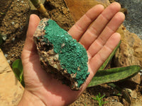 Natural Micro Botryoidal Crystalline Malachite Specimens  x 6 From Tenke Fungurume, Congo - TopRock