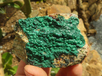 Natural Micro Botryoidal Crystalline Malachite Specimens  x 6 From Tenke Fungurume, Congo - TopRock