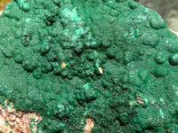 Natural Micro Botryoidal Crystalline Malachite Specimens  x 6 From Tenke Fungurume, Congo - TopRock