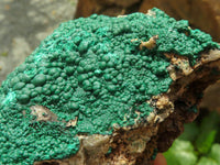 Natural Micro Botryoidal Crystalline Malachite Specimens  x 6 From Tenke Fungurume, Congo - TopRock