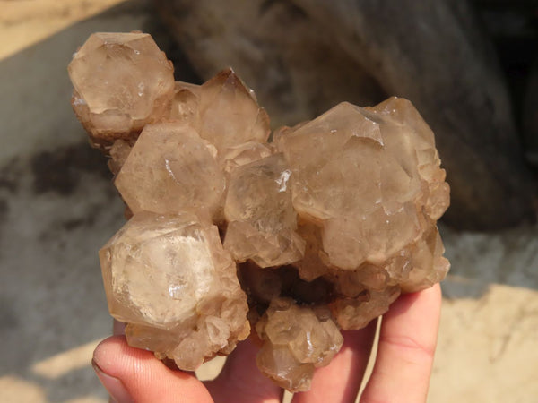 Natural Smokey Phantom Quartz Clusters x 6 From Luena, Congo