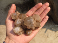 Natural Smokey Phantom Quartz Clusters x 6 From Luena, Congo