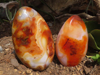 Polished Large Carnelian Agate Standing Free Forms With Gorgeous Patterns  x 2 From Madagascar - TopRock