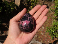 Polished Rhodonite Gemstone Eggs x 6 From Madagascar