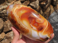 Polished Large Carnelian Agate Standing Free Forms With Gorgeous Patterns  x 2 From Madagascar - TopRock