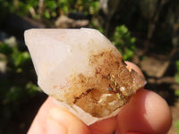 Natural Single Pineapple Quartz Crystals  x 35 From Antsirabe, Madagascar - Toprock Gemstones and Minerals 