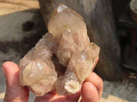 Natural Smokey Phantom Quartz Clusters x 6 From Luena, Congo