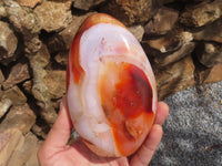 Polished Large Carnelian Agate Standing Free Forms With Gorgeous Patterns  x 2 From Madagascar - TopRock