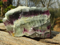 Polished  Watermelon Fluorite Slices  x 12 From Uis, Namibia