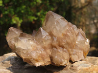 Natural Smokey Phantom Quartz Clusters x 6 From Luena, Congo