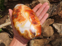 Polished Large Carnelian Agate Standing Free Forms With Gorgeous Patterns  x 2 From Madagascar - TopRock