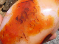 Polished Large Carnelian Agate Standing Free Forms With Gorgeous Patterns  x 2 From Madagascar - TopRock