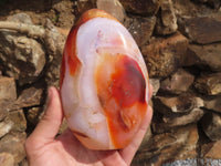 Polished Large Carnelian Agate Standing Free Forms With Gorgeous Patterns  x 2 From Madagascar - TopRock