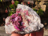 Natural Pink Salrose Cobaltion Dolomite Specimens x 6 From Kakanda, Congo