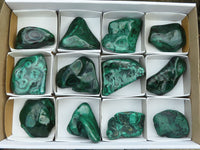 Polished Flower Banded Malachite Free Forms  x 12 From Congo - Toprock Gemstones and Minerals 