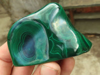 Polished Flower Banded Malachite Free Forms  x 12 From Congo - Toprock Gemstones and Minerals 