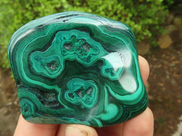 Polished Flower Banded Malachite Free Forms  x 12 From Congo - Toprock Gemstones and Minerals 