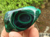 Polished Flower Banded Malachite Free Forms  x 12 From Congo - Toprock Gemstones and Minerals 