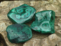 Polished Flower Banded Malachite Free Forms  x 12 From Congo - Toprock Gemstones and Minerals 