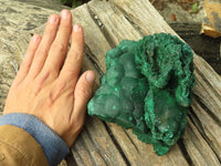 Natural Botryoidal Crystalline Malachite Specimen  x 1 From Kasompe, Congo