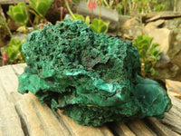 Natural Botryoidal Crystalline Malachite Specimen  x 1 From Kasompe, Congo