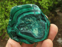 Polished Flower Banded Malachite Free Forms  x 12 From Congo - Toprock Gemstones and Minerals 