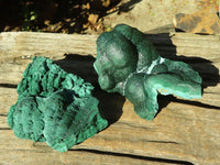 Natural Malachite Specimens x 2 From Congo