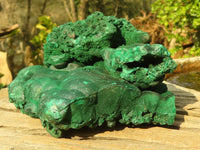 Natural Botryoidal Crystalline Malachite Specimen  x 1 From Kasompe, Congo