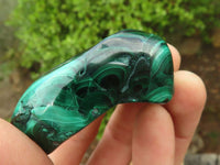 Polished Flower Banded Malachite Free Forms  x 12 From Congo - Toprock Gemstones and Minerals 