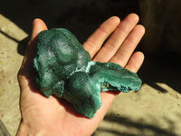 Natural Malachite Specimens x 2 From Congo