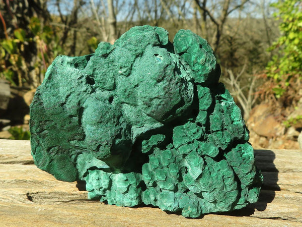 Natural Malachite Specimens  x 2 From Congo