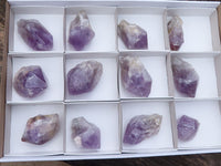 Natural Single Jacaranda Amethyst Crystals  x 12 From Mumbwa, Zambia - Toprock Gemstones and Minerals 