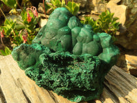 Natural Botryoidal Crystalline Malachite Specimen  x 1 From Kasompe, Congo